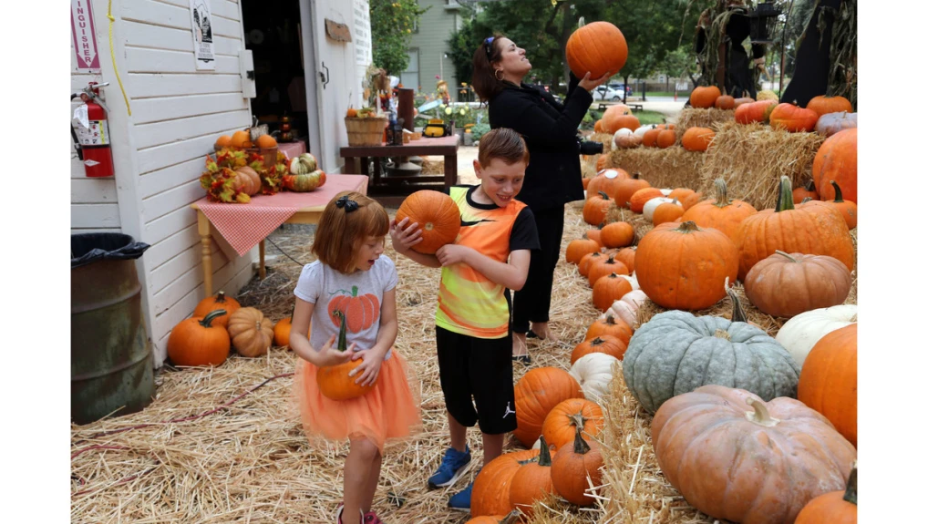 Happy Thanksgiving from CLC Academy!