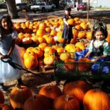 Great American Teach-In:  Genius Inc.